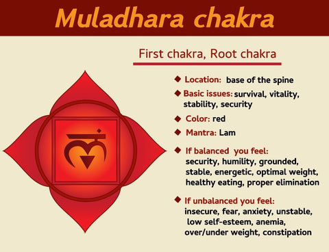 Root Chakra Balancing Carnelian Aroma Holistic Healing Bracelet